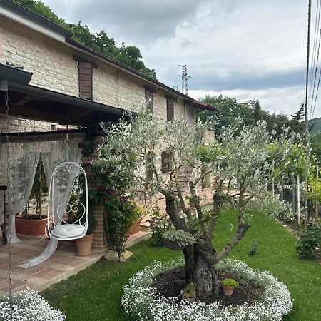 B&B Il Poggetto Serra SantʼAbbondio Exterior foto