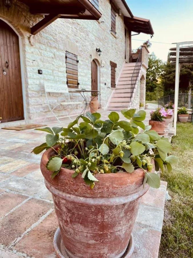 B&B Il Poggetto Serra SantʼAbbondio Exterior foto