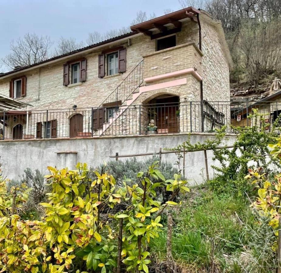 B&B Il Poggetto Serra SantʼAbbondio Exterior foto