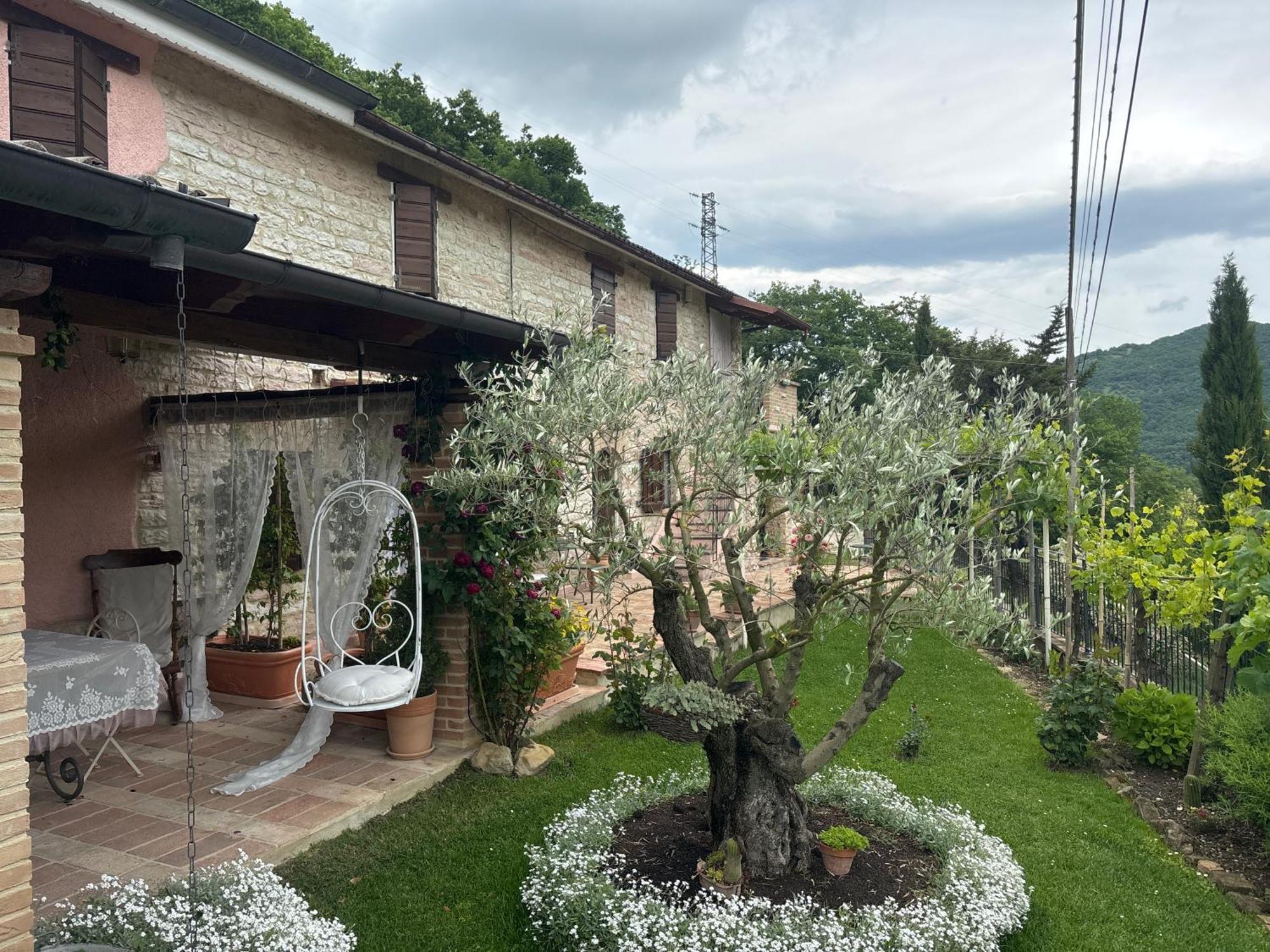 B&B Il Poggetto Serra SantʼAbbondio Exterior foto