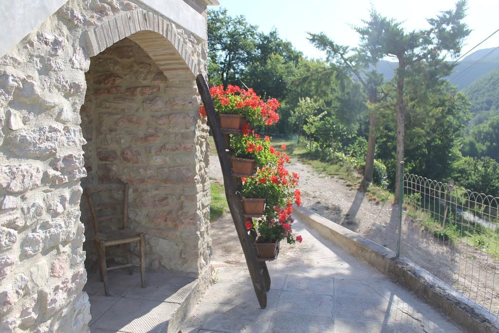 B&B Il Poggetto Serra SantʼAbbondio Exterior foto